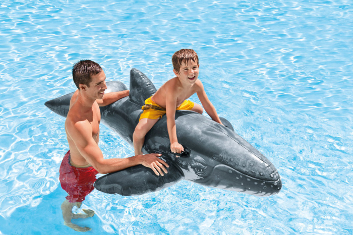 INTEX 157530NP - Realistic Whale Ride On | Steinbach-Group.com