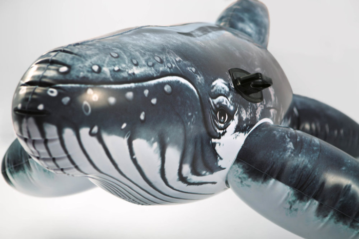 INTEX 157530NP - Realistic Whale Ride On | Steinbach-Group.com